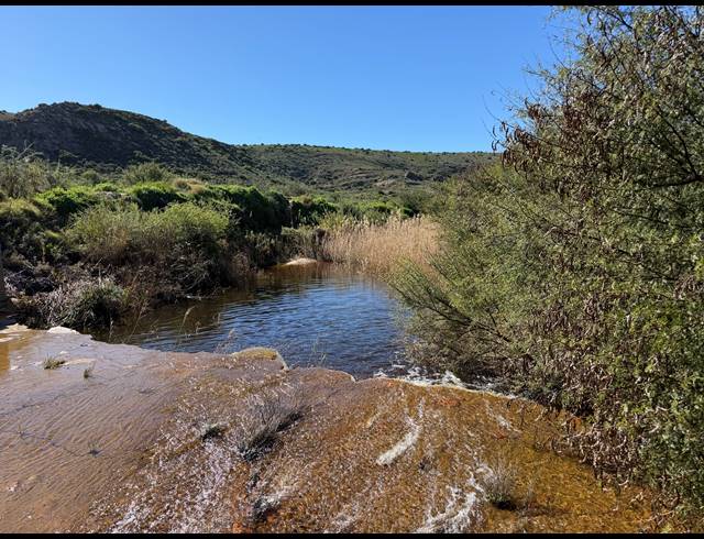 24.40HA FARM FOR SALE IN BARRYDALE